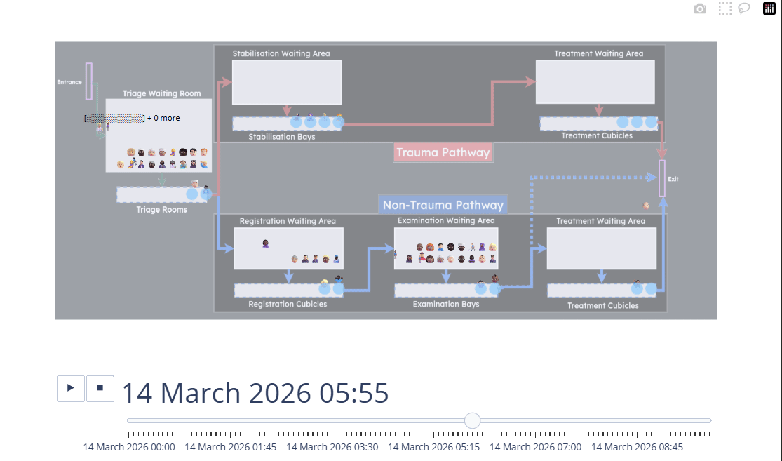 Animation of a SimPy Model with Branching and Multiple Steps